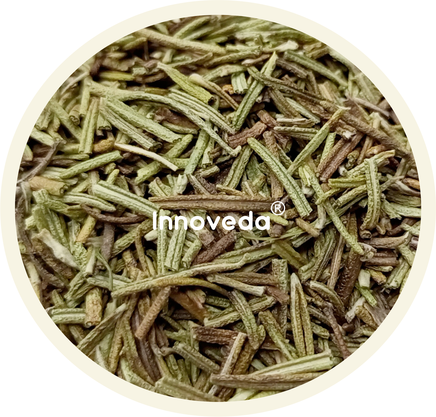 Innoveda Rosemary